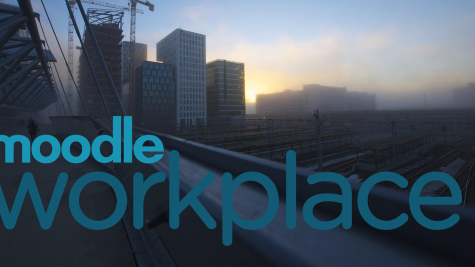 What Is Moodle Workplace