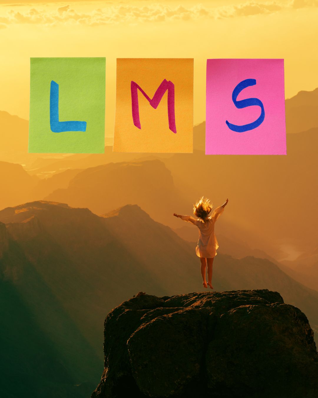 LMS with Purpose: Finding Meaning —and Communicating it— in Learning Management Systems